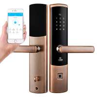 Android IOS APP Remote Control Smart Bluetooths APP Digital Door Lock Wifi Outdoor Hotel Door Lock with brushed HD touch screen